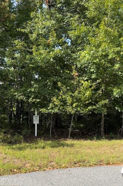 Lot 18 Flat Rock Point Dahlonega, GA 30533