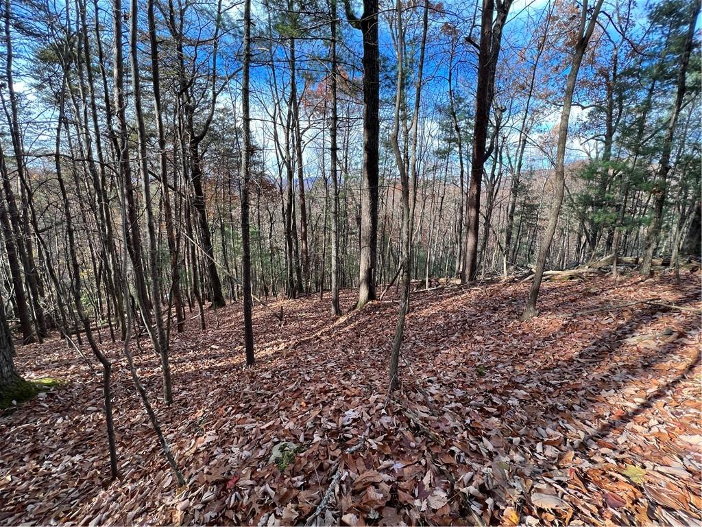 J214 Walnut Mountain Road Ellijay, GA 30536