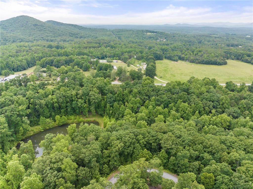 6 Long Mountain Trail Cleveland, GA 30528