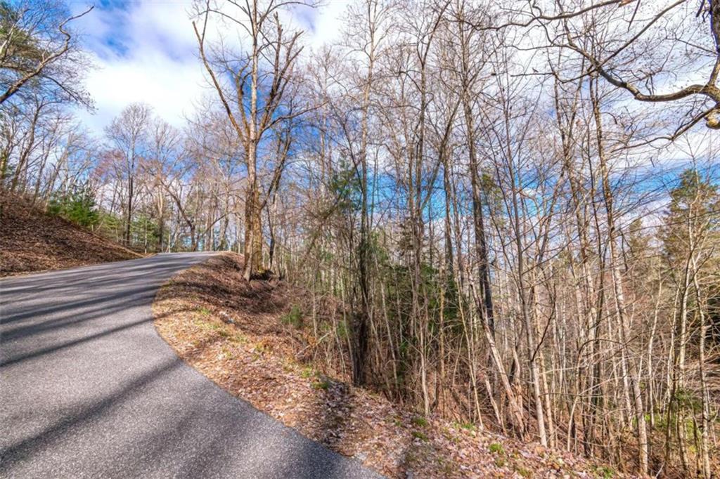 LOT 43 Dusty Danno Trail Mineral Bluff, GA 30559