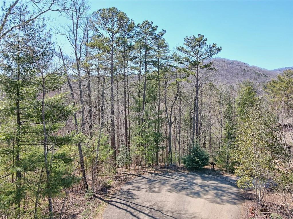 834 Pakanle Ridge Big Canoe, GA 30143