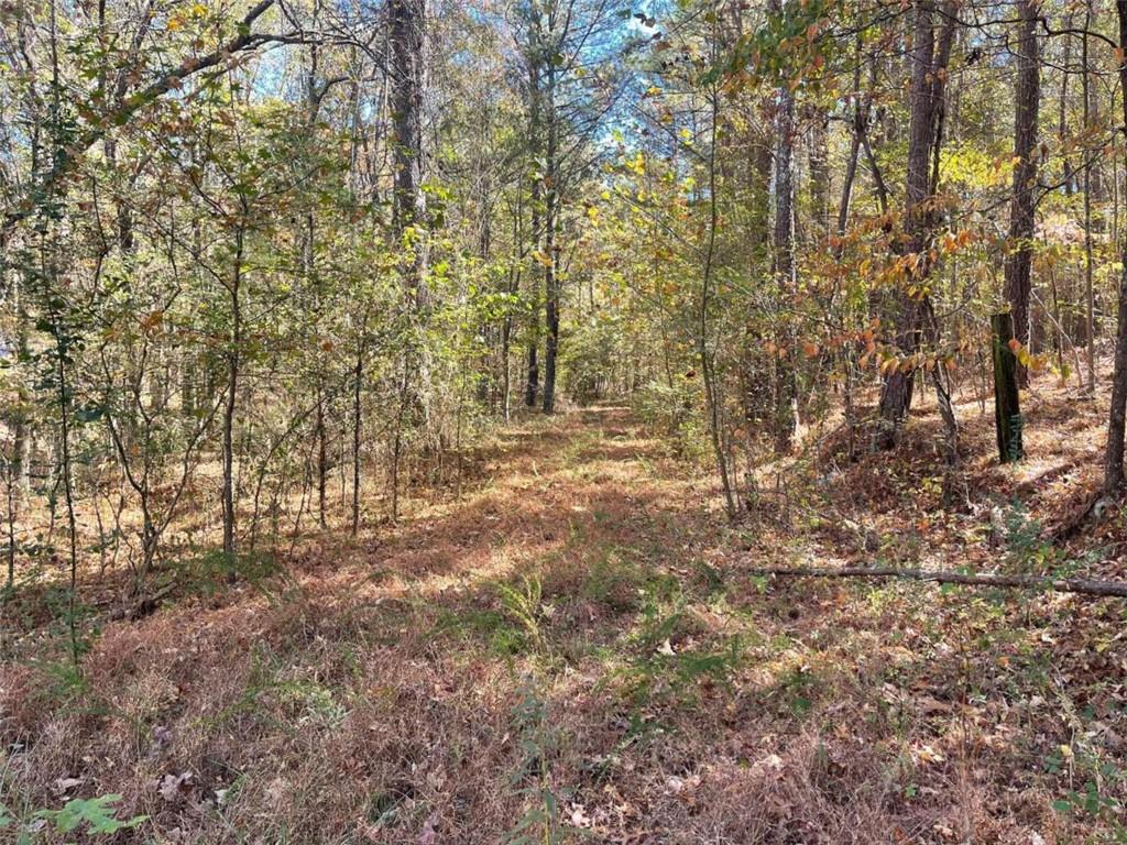 Doyle Road Cedartown, GA 30125