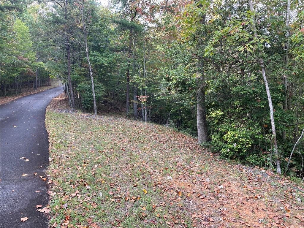 LOT 4 Rising Star Lane Mineral Bluff, GA 30559