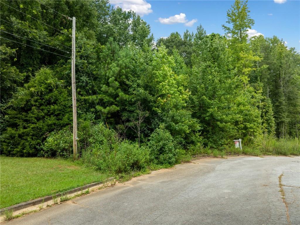 00 Dunwick Lane Mcdonough, GA 30253