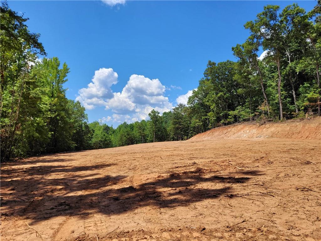 000 Shadow Mountain Lane Cleveland, GA 30528