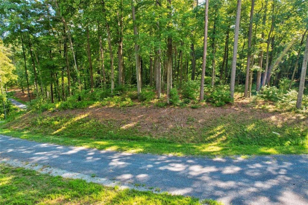 LOT 37 Hilton Drive Ellijay, GA 30540