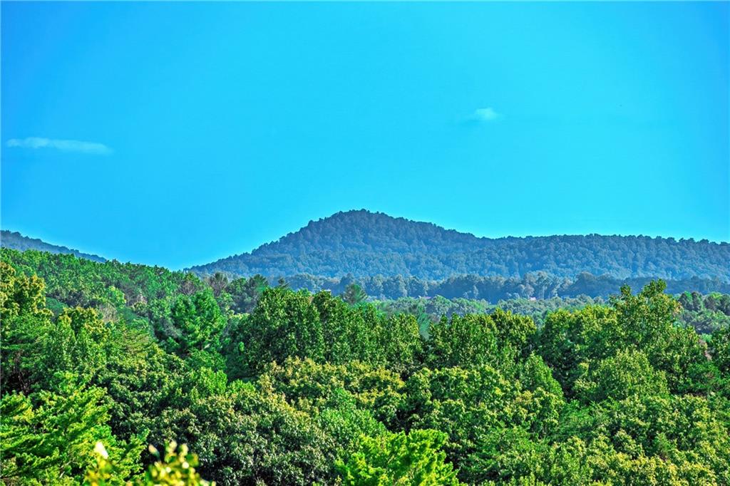 LOT 9 Deer Haven Drive Morganton, GA 30560