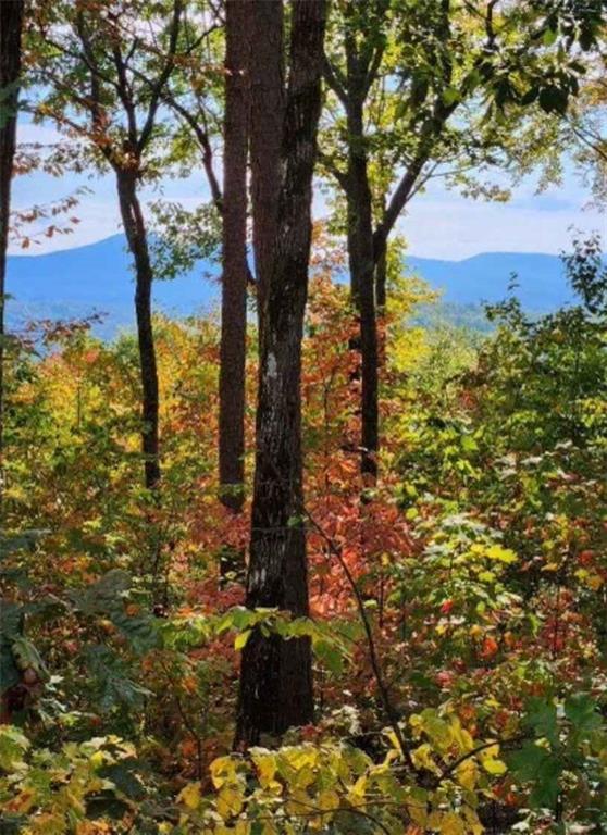 Lot 16 Abbott Mill Road Ellijay, GA 30540