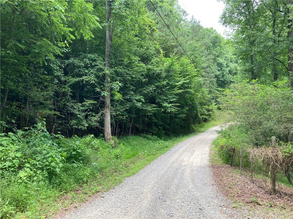 Hidden Valley Trail Ellijay, GA 30540