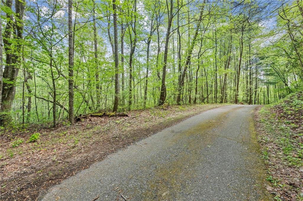 Ts Jarrard Road Dahlonega, GA 30533