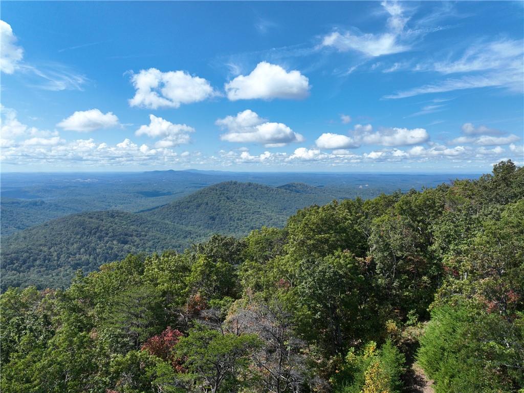 247 Andes Ridge Ellijay, GA 30536