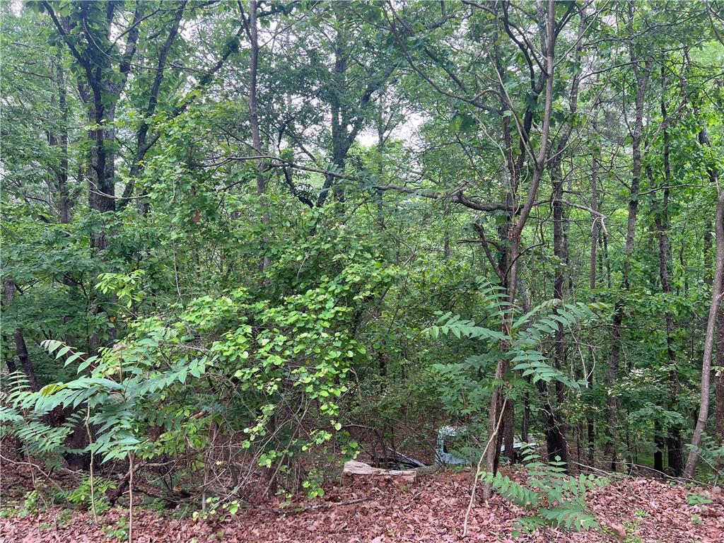 00 Old Atlanta Lot Road Suwanee, GA 30024