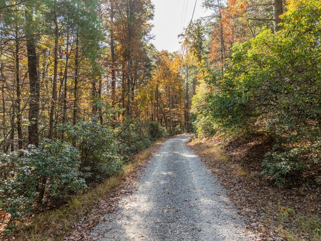 51.96 Laughing Bird Lane Ellijay, GA 30536