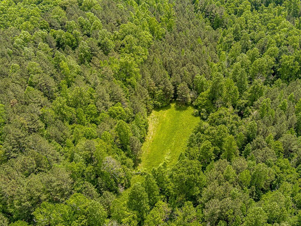 Sardis Creek Canton, GA 30114