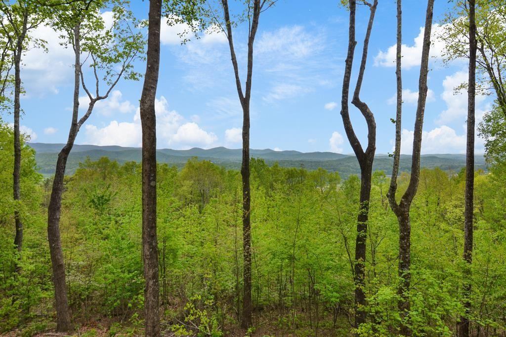 74 Sam Allen Mountain Road Ellijay, GA 30536