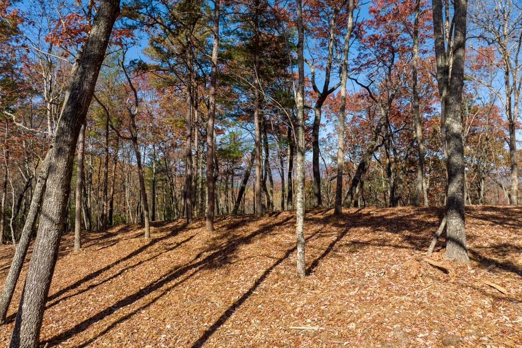 LOT 39 Preserve Trail Ellijay, GA 30536