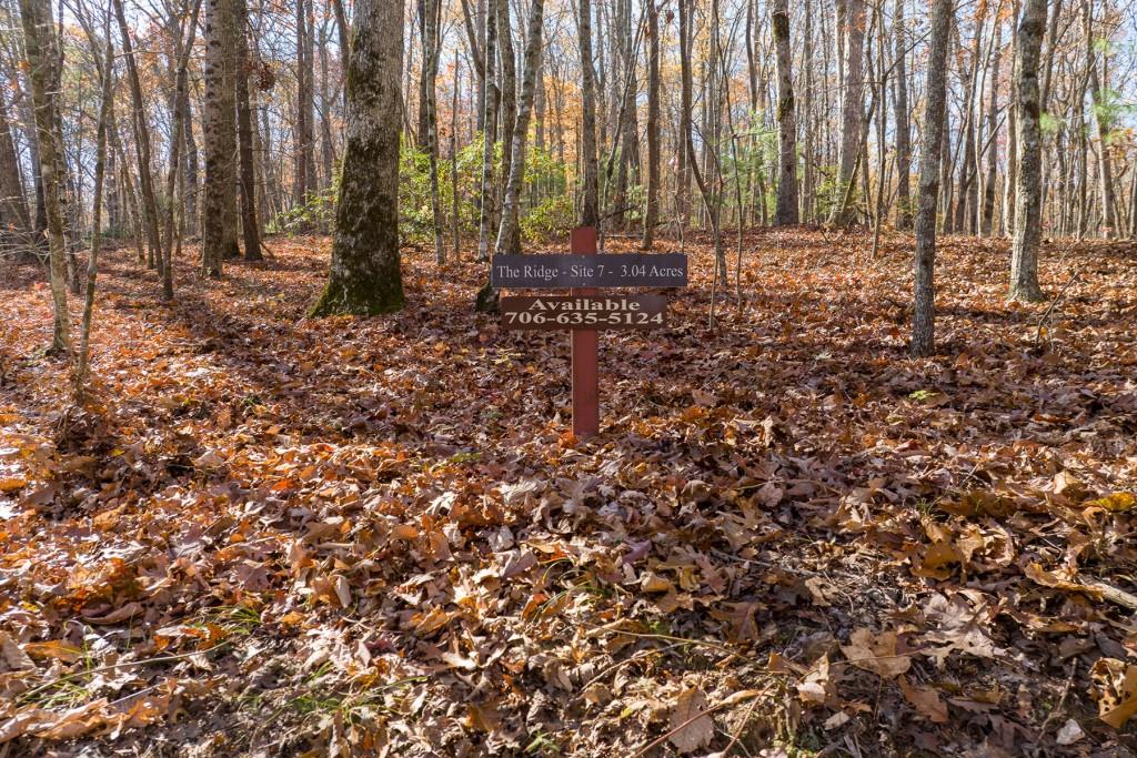 LOT 7 Joseph Anderson Trail Ellijay, GA 30536