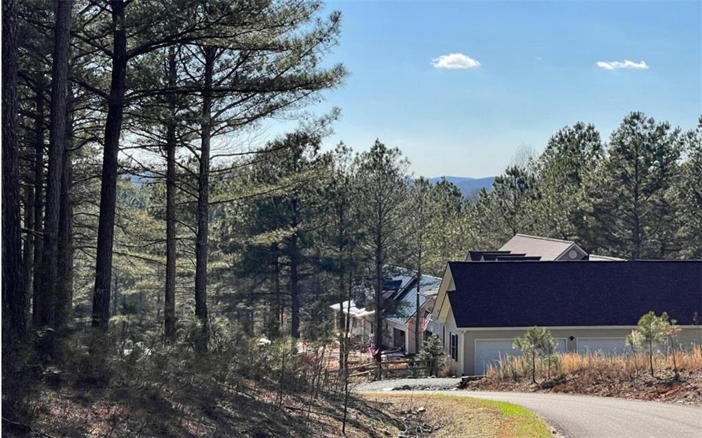 40 Reece Mountain Road Ellijay, GA 30540