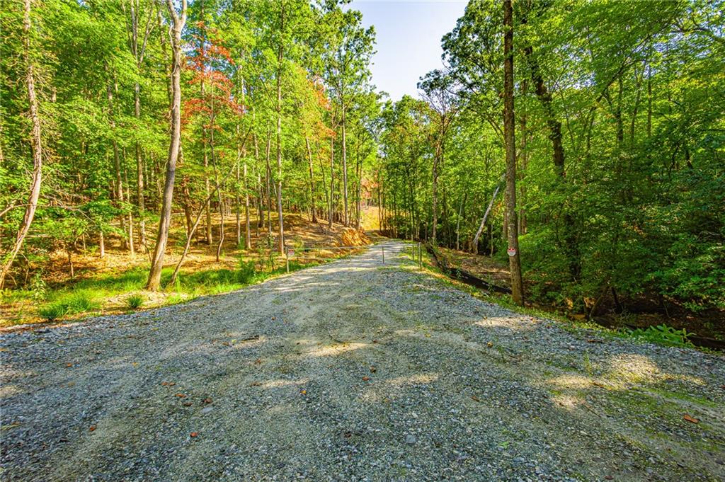 00 Ridgeway Road Dahlonega, GA 30533