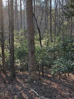 Lot 5 Still Rd Dahlonega, GA 30533