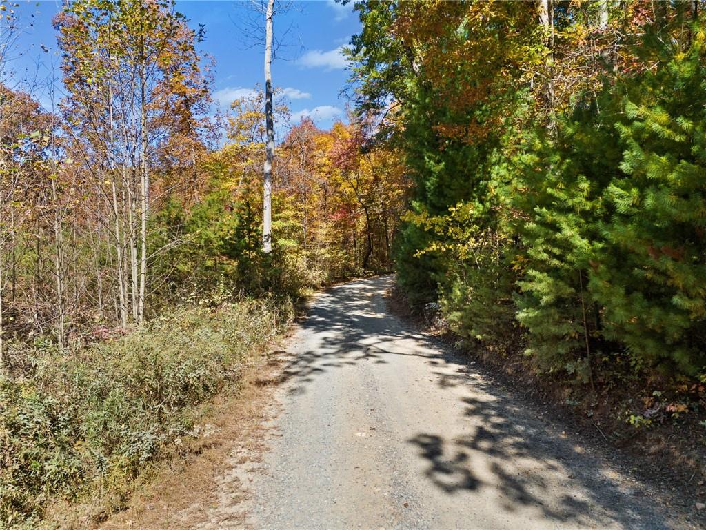 16.31 Old Burnt Mountain Rd Ellijay, GA 30536