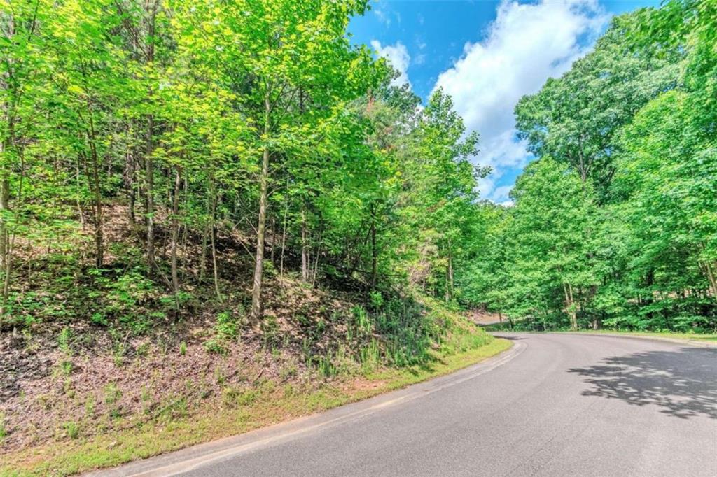 LOT 36 Abbott Mill Road Ellijay, GA 30540