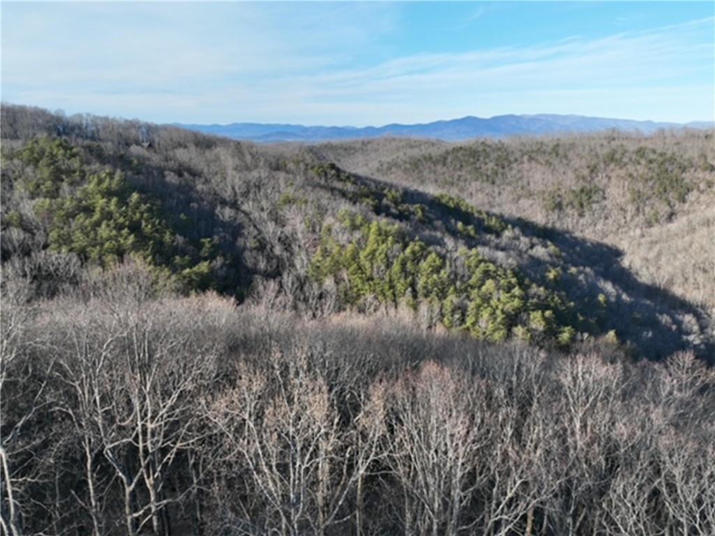 249 Andes Ridge Ellijay, GA 30536