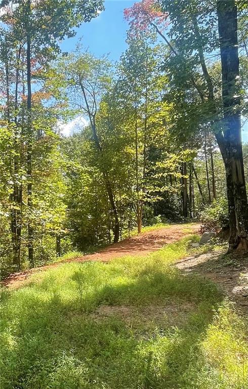 N/A Chimney Mountain Road Sautee Nacoochee, GA 30571