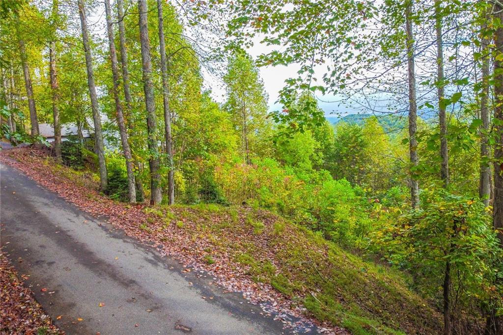 Summit Trail Hiawassee, GA 30546