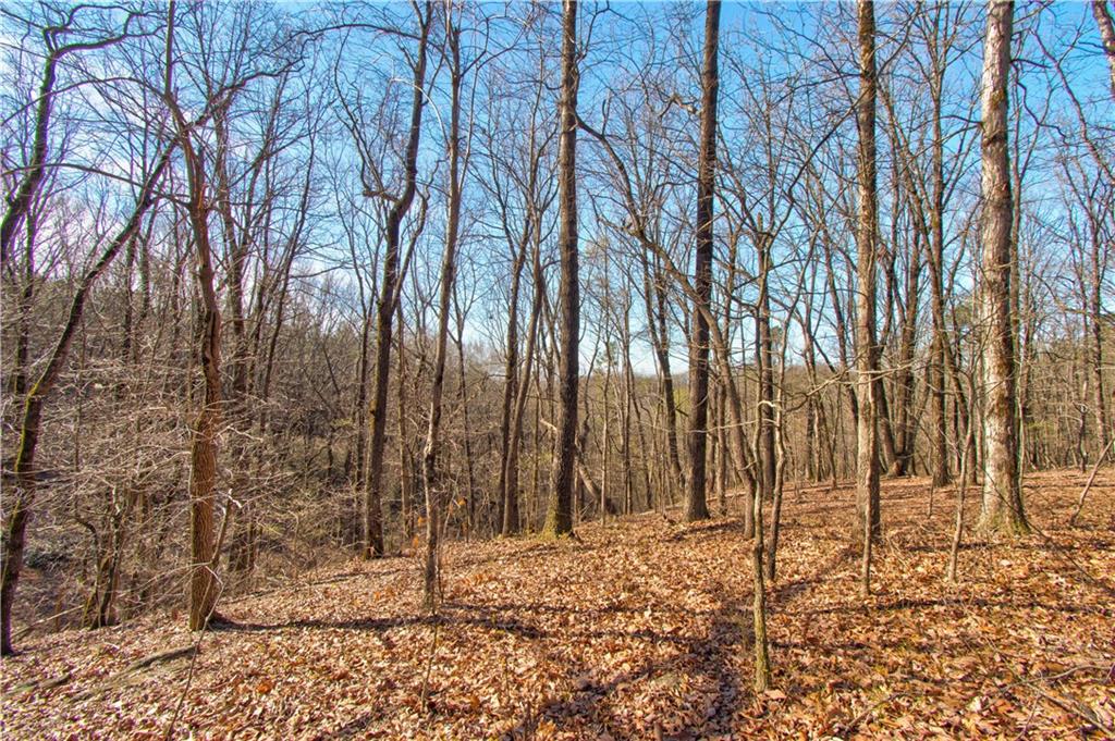 Chapman Ridge Lane Dahlonega, GA 30533