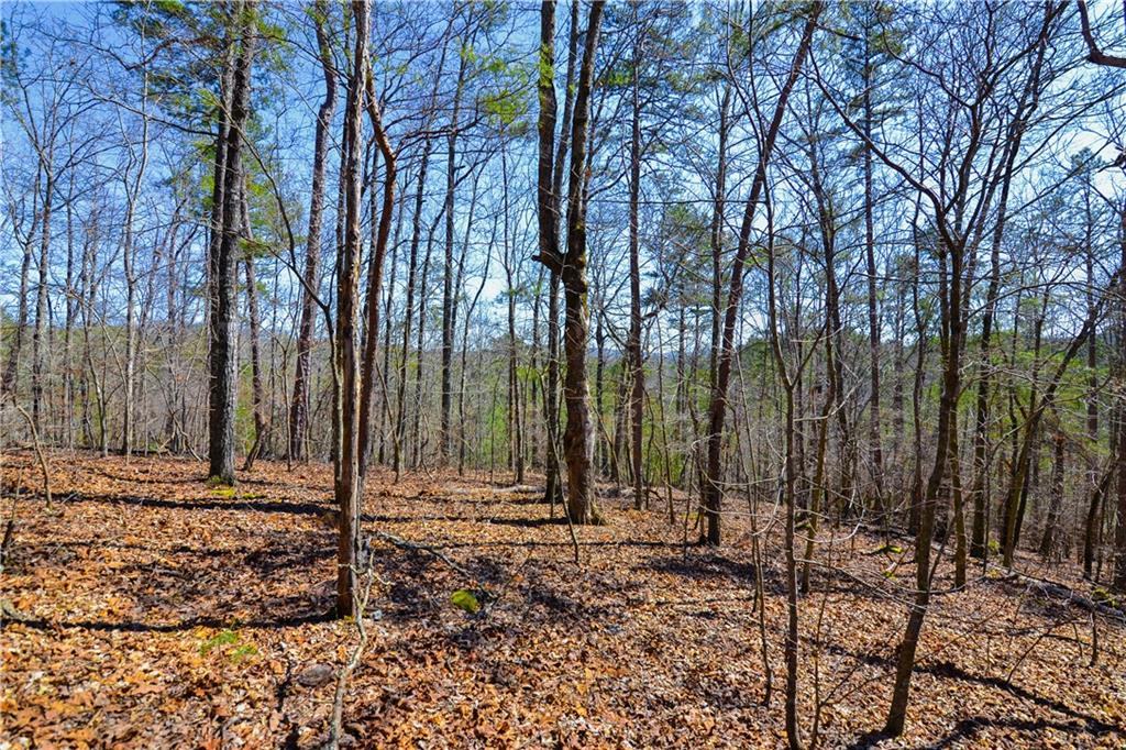 Lot 99 Mountain Creek Hollow Drive Talking Rock, GA 30175