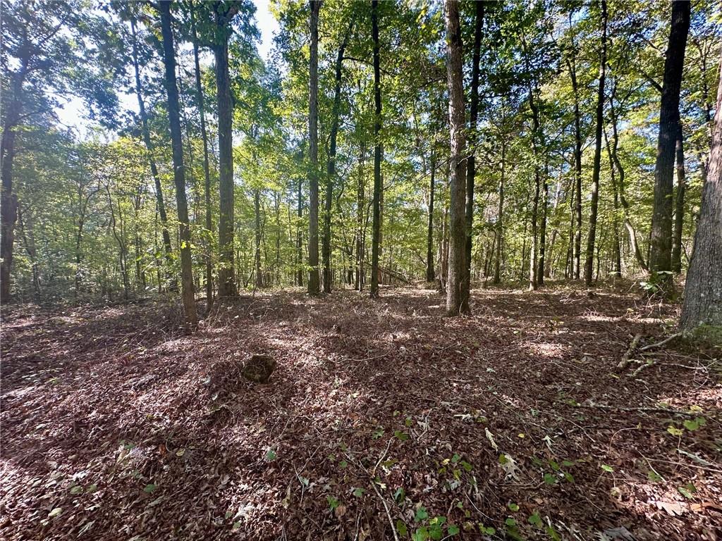 Mincey Acres Drive Murrayville, GA 30564