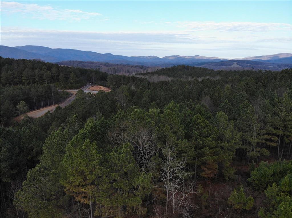 Eastside Drive Ellijay, GA 30540