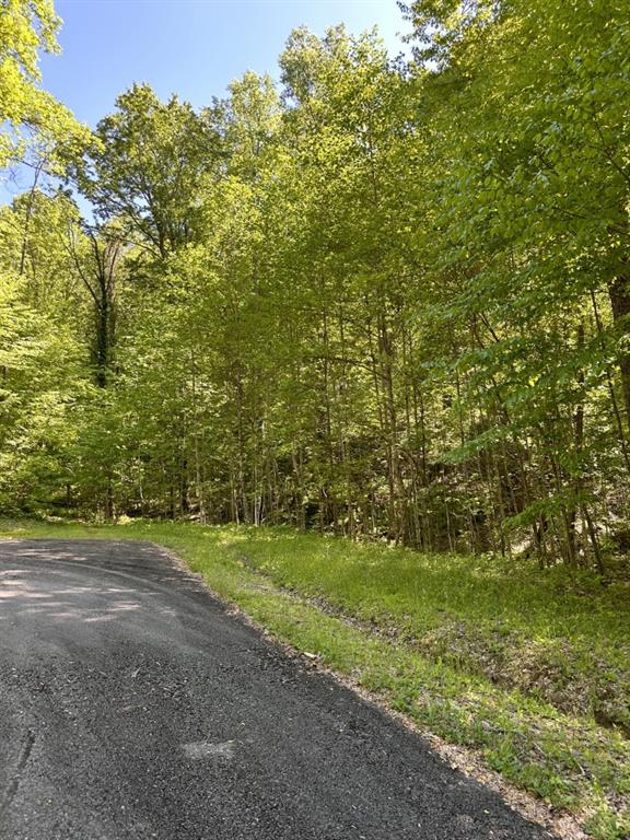 Lot 25 Goldmine Gap Road Ellijay, GA 30536