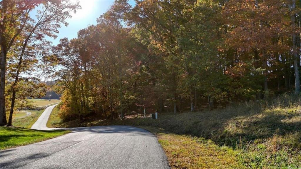 LOT 16 Old Owen Drive Blairsville, GA 30512