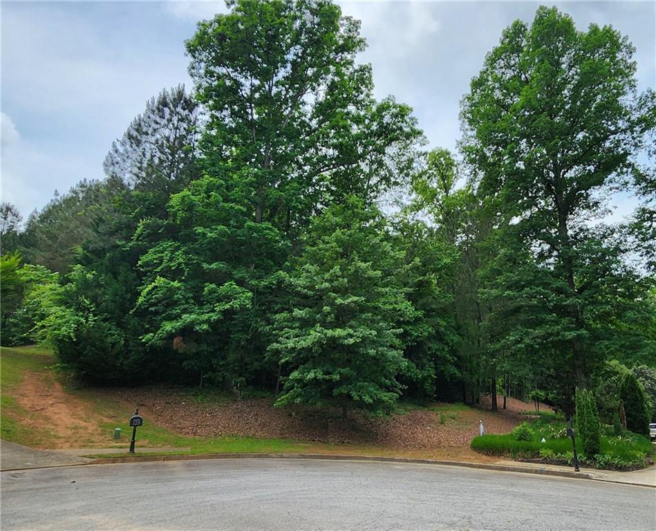 126 Big Cotton Trail Mcdonough, GA 30252