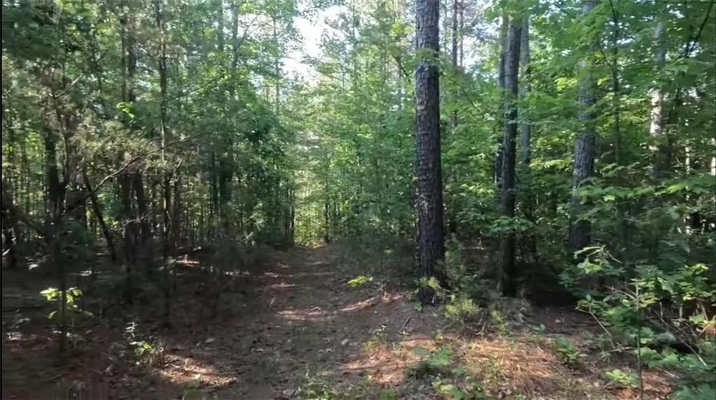 00 Little Mountain Lot Road Dawsonville, GA 30040