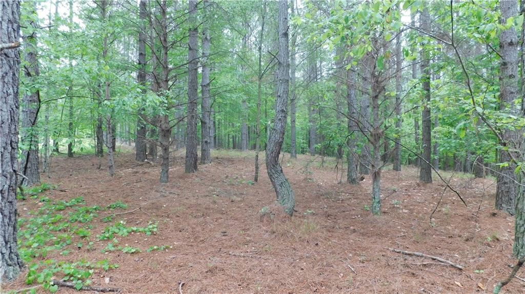 5.59 Acres Larmon Forks Road Dahlonega, GA 30533