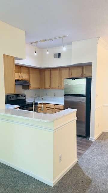 245 Amal Drive UNIT APT 2010 Atlanta, GA 30315