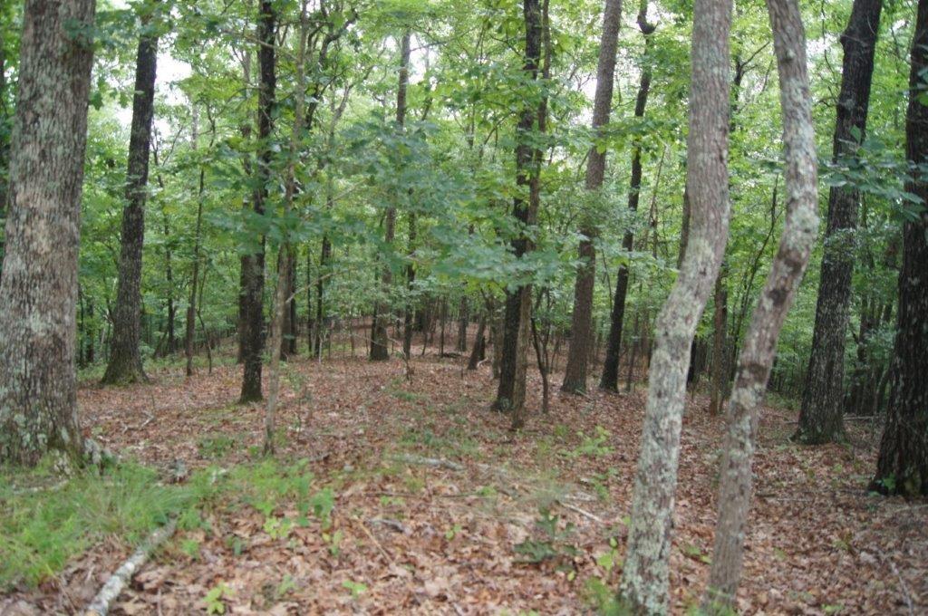 1 Bumpy Trail Dawsonville, GA 30534