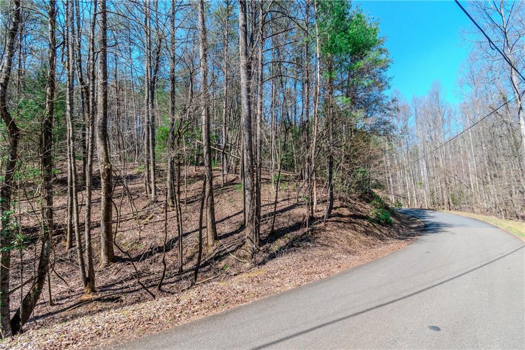 LT 694 Satsuma Court Ellijay, GA 30540