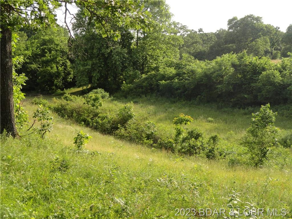 332 Osceola Lane Macks Creek, MO 65786