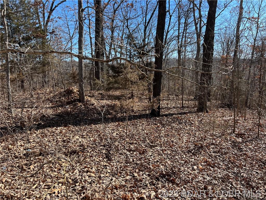 Lot A1 Forest Drive Versailles, MO 65084