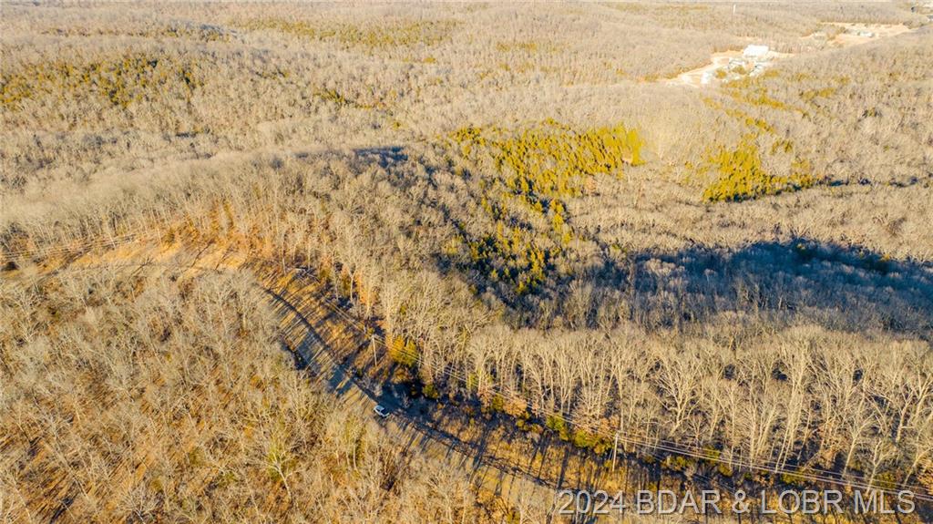 Tract 2 State Road Aa Roach, MO 65787