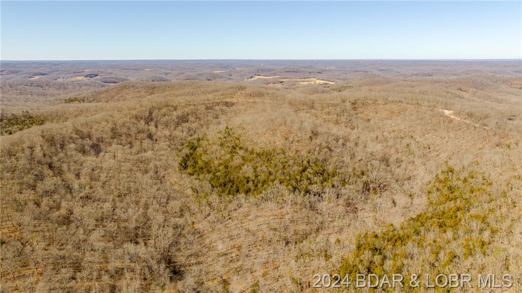 Tract 4 State Road Aa Roach, MO 65787