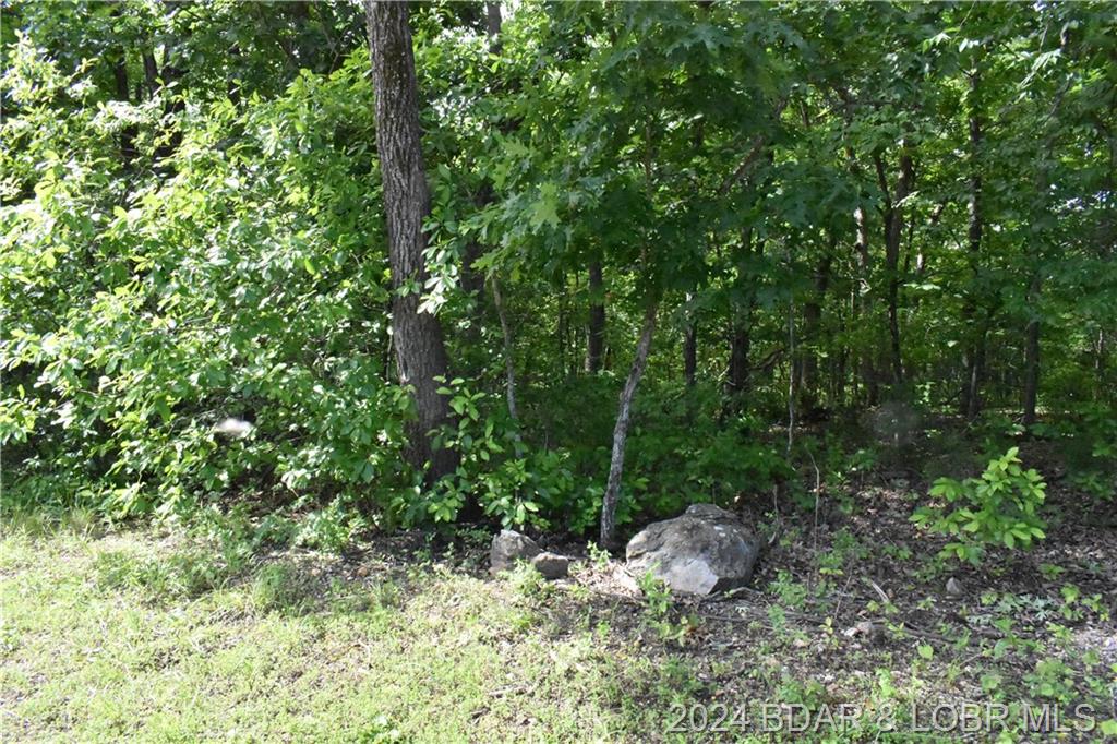 Lot 100 Palisades Point #2 Lake Ozark, MO 65049