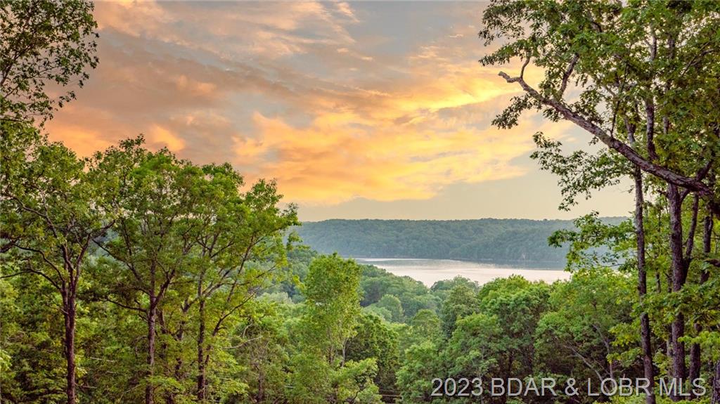 TBD Wilson Bend Road Gravois Mills, MO 65037