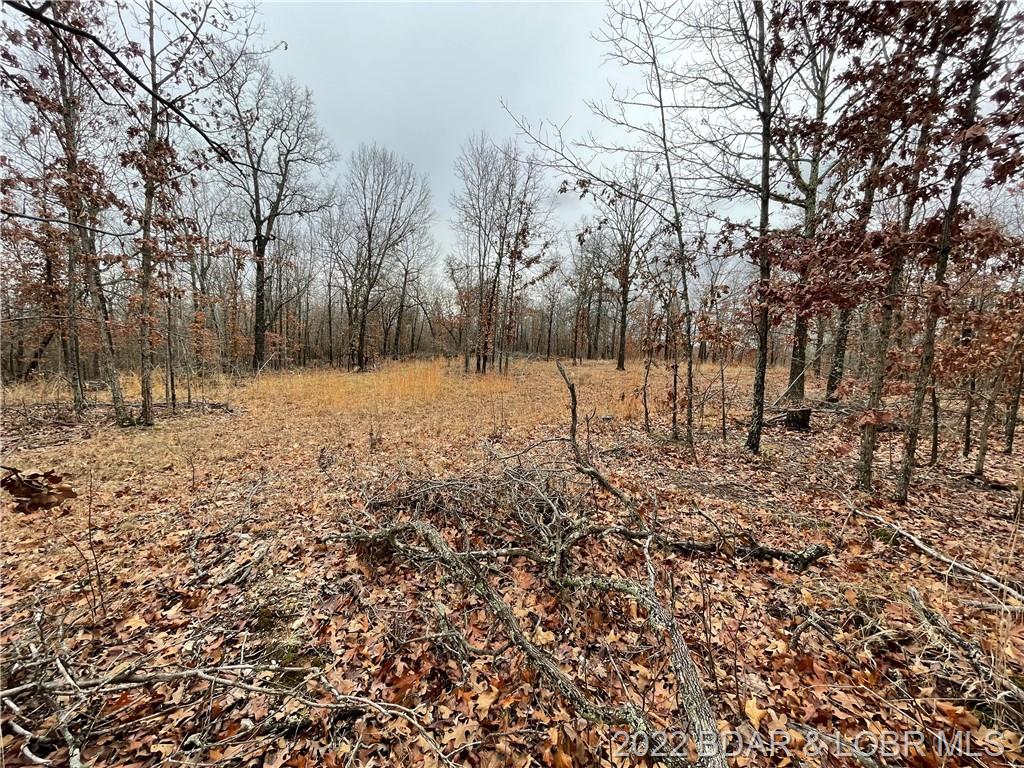 tbd Industry Road Lebanon, MO 65536