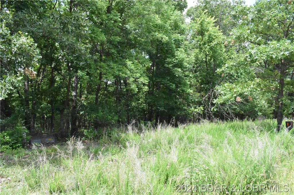 Lot 1069 Champions Run Sunrise Beach, MO 65079