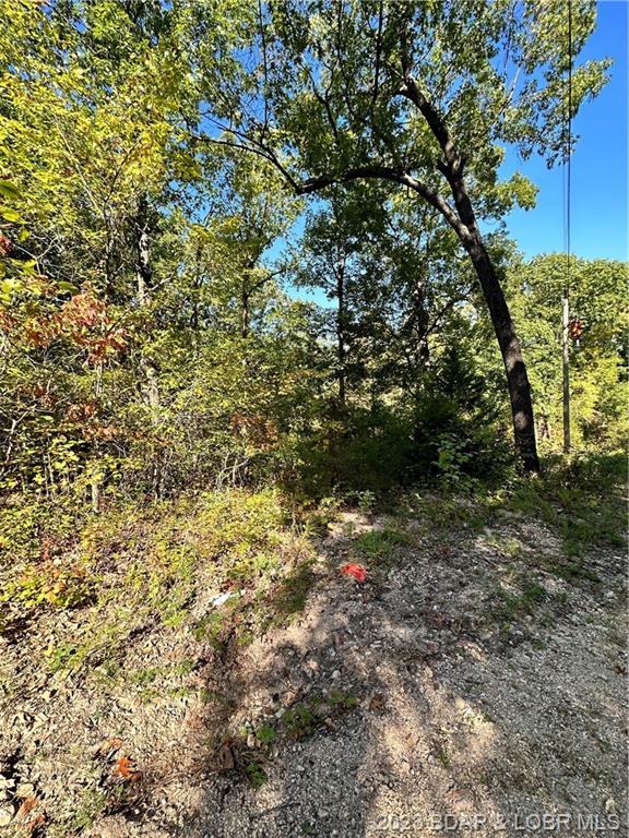 Lot 14 Timber Shores Unit 2 Rocky Mount, MO 65072